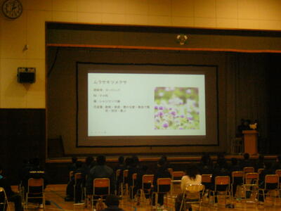 美幌峠の植物について花言葉なども交えて発表しました